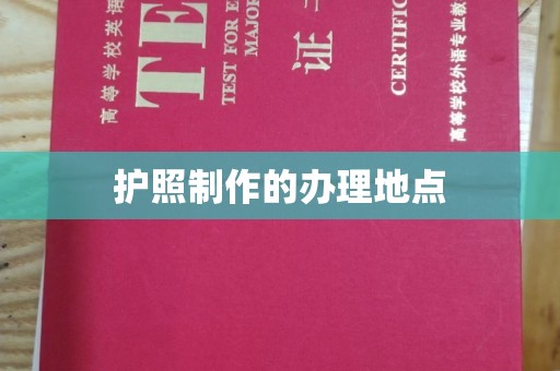 沙坡头护照制作的办理地点